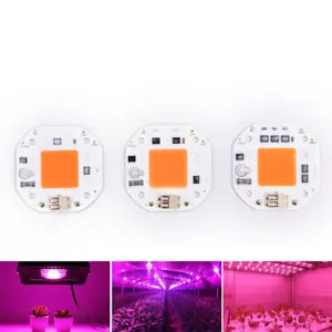 Full Spectrum LED COB Chip Grow Light Plant Growing Lamp 100W 220V